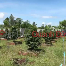 OWNER FOR FAST SALE Garden Plot - GOOD Price Location In Cho Moi District, An Giang _0
