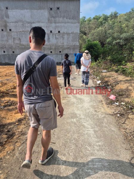 Property Search Vietnam | OneDay | Nhà ở | Niêm yết bán | Sở Hữu Ngay Lô Đất Chính Chủ Phường Nam Sơn, TP Bắc Ninh - Bắc Ninh