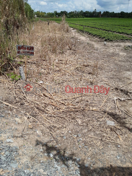 Property Search Vietnam | OneDay | Residential, Sales Listings, Own a Prime Land Lot in Phu Long Commune, Chau Thanh District, Dong Thap