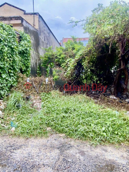 Property Search Vietnam | OneDay | Residential, Sales Listings, Square Land, HXH, 95m2 - An Phu Dong 3, District 12
