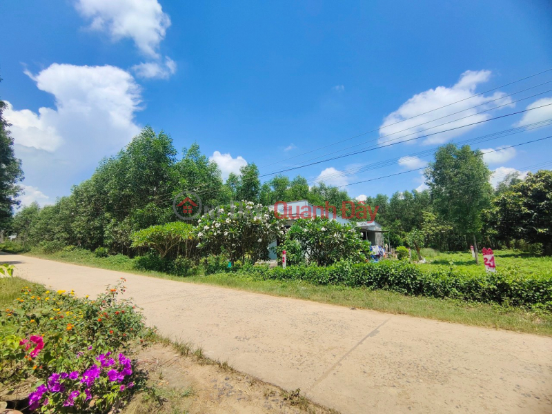 Property Search Vietnam | OneDay | Residential, Sales Listings | Land plot for sale in Dien Xuan commune, only 100m from Nhan Tam tourist area, area 340m2, price only 880 million