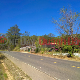 HOT HOT – CHÍNH CHỦ CẦN BÁN ĐẤT VIEW ĐỒI THÔNG, SUỐI TỰ NHIÊN – GIÁ TỐT – Tại Lạc Dương, Lâm Đồng _0