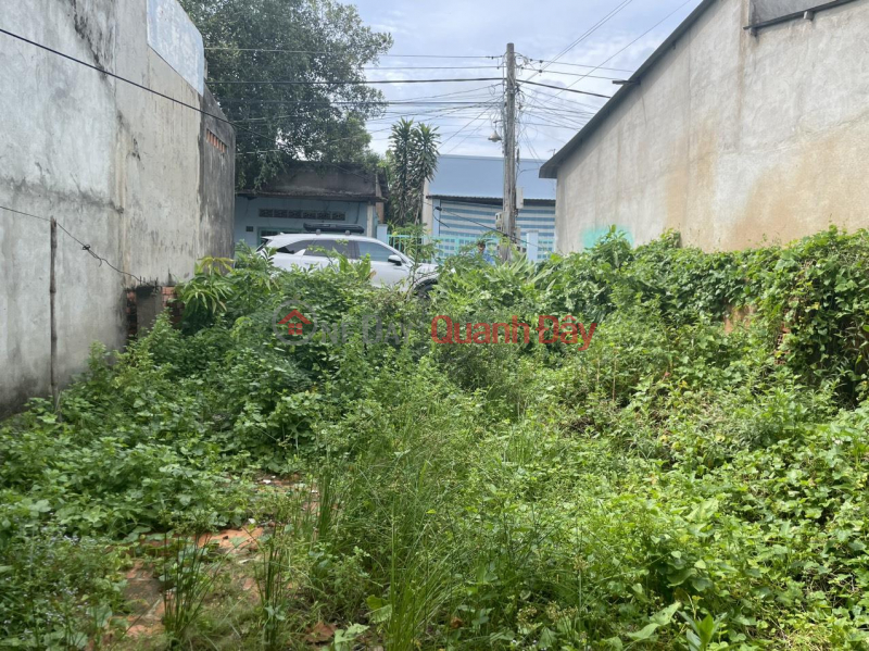 Beautiful Land - Good Price - Owner Needs to Sell Land in Good Location, DT 822 Road - Zone 3, Hiep Hoa Town, Duc Hoa District, Long An | Vietnam | Sales, đ 780 Million