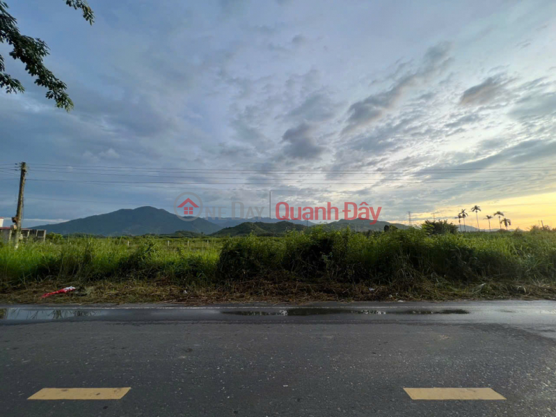 Property Search Vietnam | OneDay | Residential, Sales Listings | OWNER SELLS LAND ON THE STREET IN Diên Thọ COMMUNE, Diên Khánh, Khánh Hòa