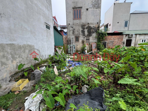 Selling 45m2 of land in Bach Da Kim Hoa - Me Linh, Car access road, adjacent to Ring Road 4 _0