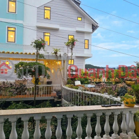 Cho thuê căn hộ view đồi và nhà kính có hồ sen trước nhà giá 15 triệu Đà Lạt Lâm Đồng _0