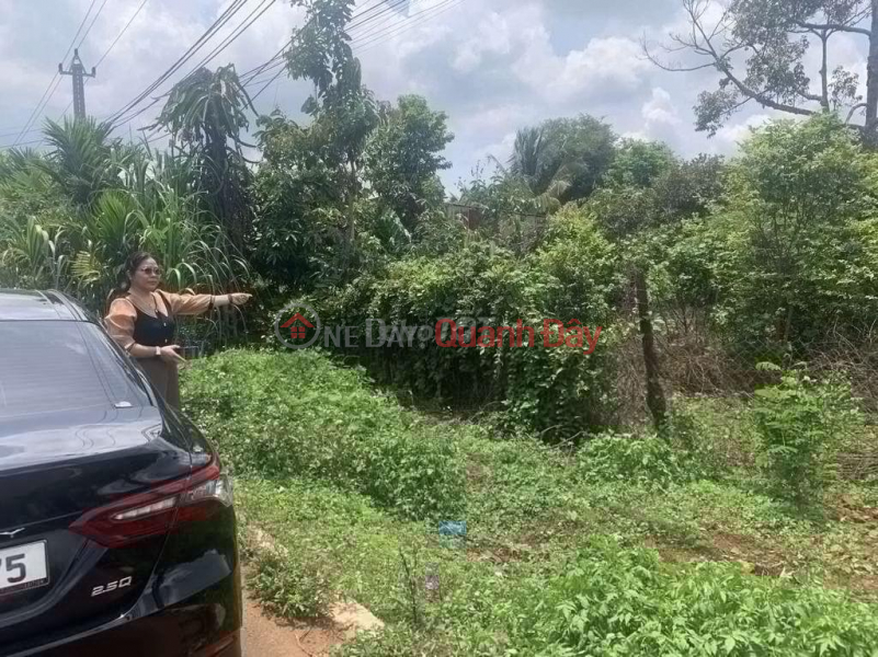 OWNER FOR SALE Land Front Lot At Street No. 1, Hoa Thuan Commune, Buon Ma Thuot City, Dak Lak Sales Listings