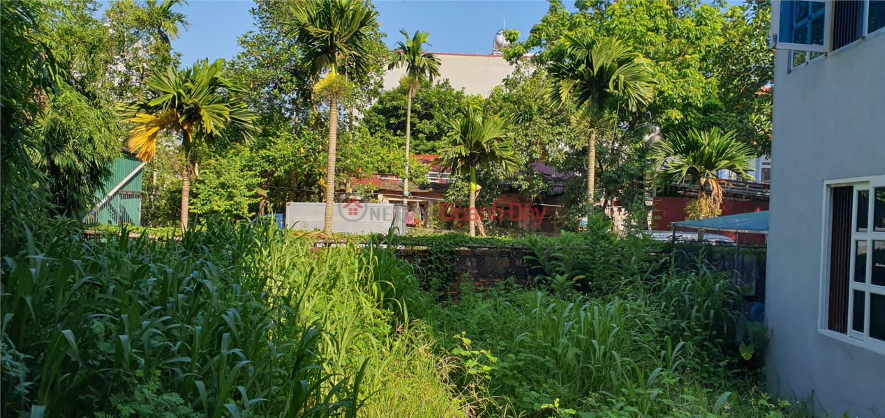 Property Search Vietnam | OneDay | Nhà ở Niêm yết bán Đông Anh, Vân nội, 60m2 Vân Nội rộng 4m đường vào 2m6