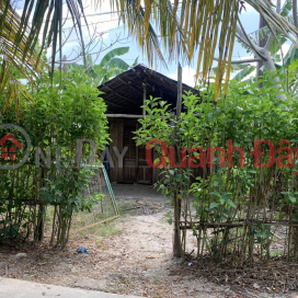 BEAUTIFUL LAND - Owner Sells Land Plot Quickly In Cay Duong Town, Phung Hiep, Hau Giang _0