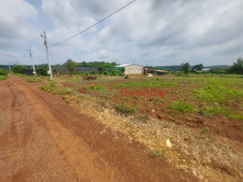 Property Search Vietnam | OneDay | Residential | Sales Listings HOT! OWN BEAUTIFUL LAND - GOOD PRICE At Viet Quang Hamlet, Loc Quang Commune, Loc Ninh District, Binh Phuoc