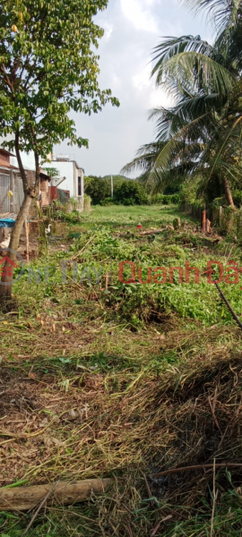 Property Search Vietnam | OneDay | Residential, Sales Listings BEAUTIFUL LAND - GOOD PRICE - OWNER Needs to Urgently Sell Land Lot, Nice Location in Phu My Hung, Cu Chi - HCM