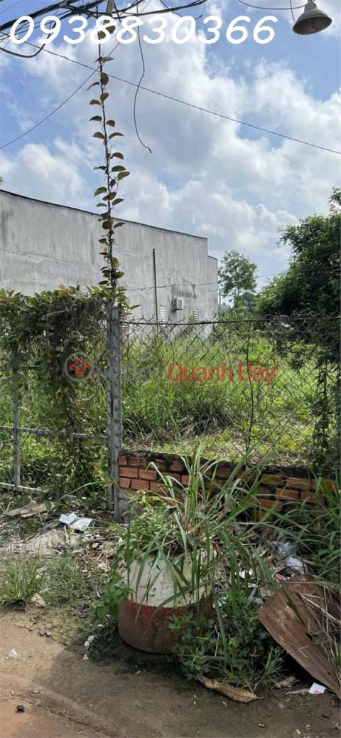 Investment opportunities in land plots in Dong Nai City. _0