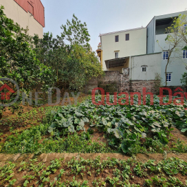 Land in Gia Lam, Hanoi, only 35 million VND\/m2, accessible by 7-seater cars. Contact 0392248515 _0