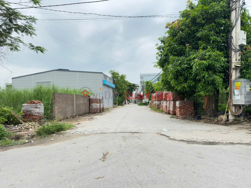 Owner needs money to deposit and sell land plot at group 9 Quang Minh, Me Linh. Full of amenities Sales Listings