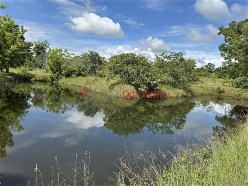 HOT HOT - CHÍNH CHỦ CẦN BÁN LÔ ĐẤT TẠI Thôn La Vang 2, Ninh Sơn, Khánh Hòa | Việt Nam Bán đ 3,5 tỷ