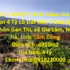 CHÍNH CHỦ NGỘP BANK Giảm Giá Từ 5 Tỷ Xuống Còn 4 Tỷ Lô Đất Gần 5 Sào Tại Lâm Hà _0