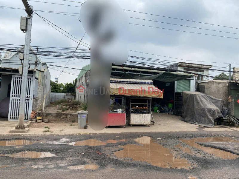 Property Search Vietnam | OneDay | Nhà ở, Niêm yết bán ĐẤT ĐẸP – CHÍNH CHỦ CẦN BÁN ĐẤT Đường Nguyễn Hoàng, Xã Thanh Bình, Huyện Trảng Bom, Đồng Nai.