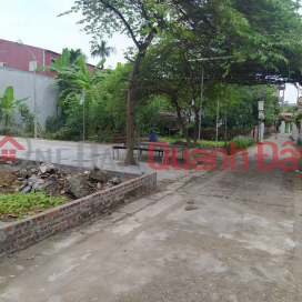 The owner needs money to urgently sell a beautiful plot of land in My Noi, Bac Hong, Dong Anh, Hanoi _0