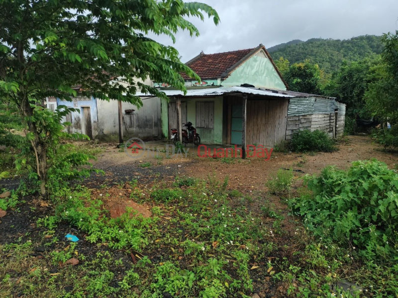 Property Search Vietnam | OneDay | Residential Sales Listings | BEAUTIFUL LAND - GOOD PRICE - For Quick Sale LAND LOT In Son Hoa District - Phu Yen Province