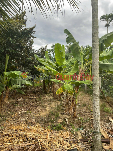 LAND FOR SALE IN DIEN TOAN COMMUNE, DIEN KHANH DISTRICT, KHANH HOA PROVINCE Sales Listings