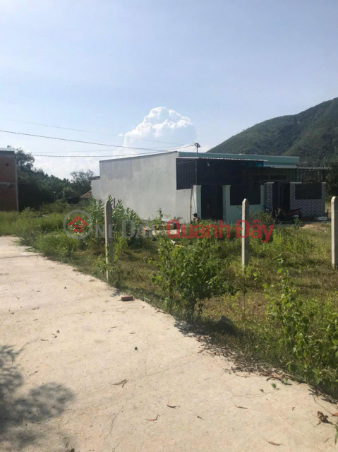 Owner Needs Money to Urgently Sell 2-Front Land Lot in Phuoc Dong Commune, Nha Trang - Selling Price at a Loss of 450 Million! _0