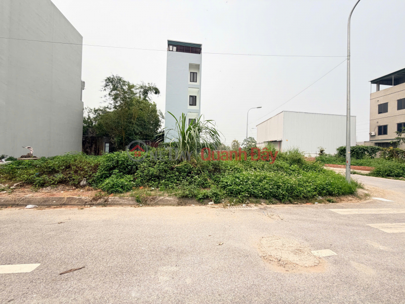 CC BÁN 50M ĐẤT KHU 2.3ha TT TRẠM TRÔI - HOÀI ĐỨC - HÀ NỘI Niêm yết bán