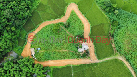 Need to Sell Land Lot in Nice Location Quickly in Ngoc Lac District, Thanh Hoa Province. _0