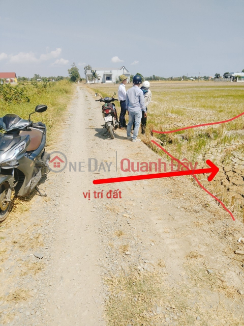 AGRICULTURAL LAND 34*48 SQUARE. 16-SEATER CAR ROAD IN PHUOC DONG, CAN DUOC, LONG AN _0