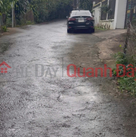 Land for sale 300m2 residential street Tran Phu, B'Lao ward, Bao Loc city, Lam Dong province _0