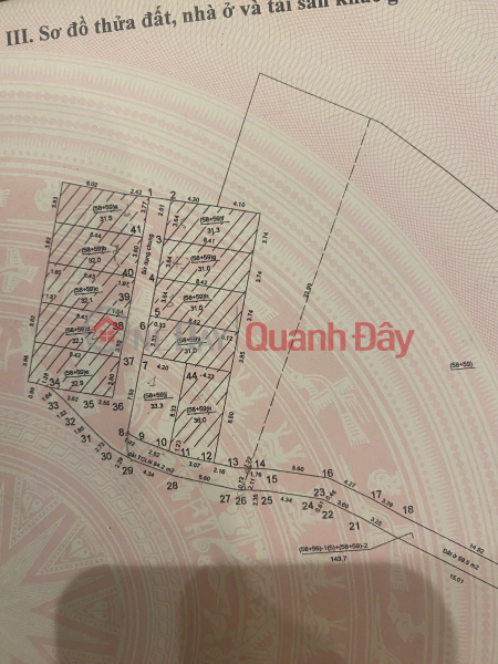 Property Search Vietnam | OneDay | Residential | Sales Listings | BEAUTIFUL CORNER LOT FOR SALE IN DONG DU - GIA LAM, PRICE ONLY 3.X BILLION