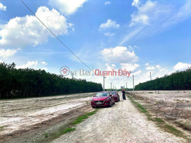 Property Search Vietnam | OneDay | , Sales Listings | Selling Cheap Land, Becamex Industrial Park Land With Ready Book Only 240 Million