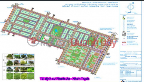 ĐẤT CHÍNH CHỦ - GIÁ TỐT - Lúa non tái định cư Phước An, Nhơn Trạch, Đồng Nai _0