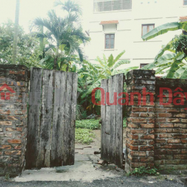 Land for sale by owner in Dong Du, Gia Lam. 150m2, nice location, red book _0