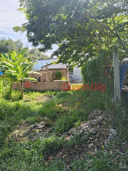Property Search Vietnam | OneDay | Residential, Sales Listings | PRIME LAND, INVESTMENT OPPORTUNITY – OWNER SELLING A PLOT OF LAND IN PHUOC HIEP COMMUNE, CU CHI DISTRICT, HO CHI MINH CITY