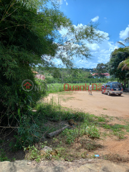 GENERAL FOR SALE QUICKLY Beautiful Land Lot Great Location In Ninh Gia Duc Trong Commune, Lam Dong Vietnam | Sales | đ 1.2 Billion