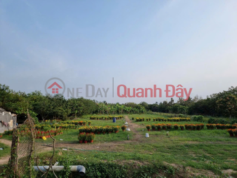 ĐẤT ĐẸP – GIÁ TỐT – CHÍNH CHỦ BÁN TẠI Đường Quốc Lộ 57, Xã Bình Hoà Phước, Long Hồ, Vĩnh Long _0