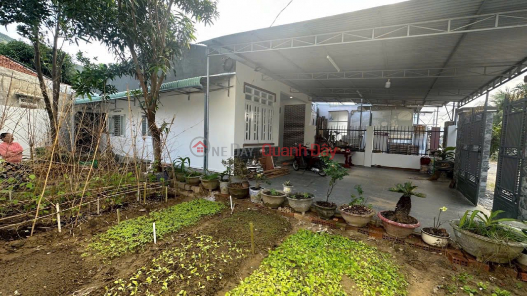 HOUSE FOR SALE: SINGLE-STORY HOUSE WITH GARDEN, FACING SONG CAU ROAD, DIEN AN. Vietnam, Sales, đ 3.5 Billion