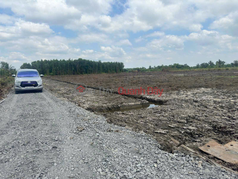 Land with clear ownership - Frontage in Thanh Hoa Commune, Ben Luc District, Long An Province Vietnam Sales, đ 450 Million
