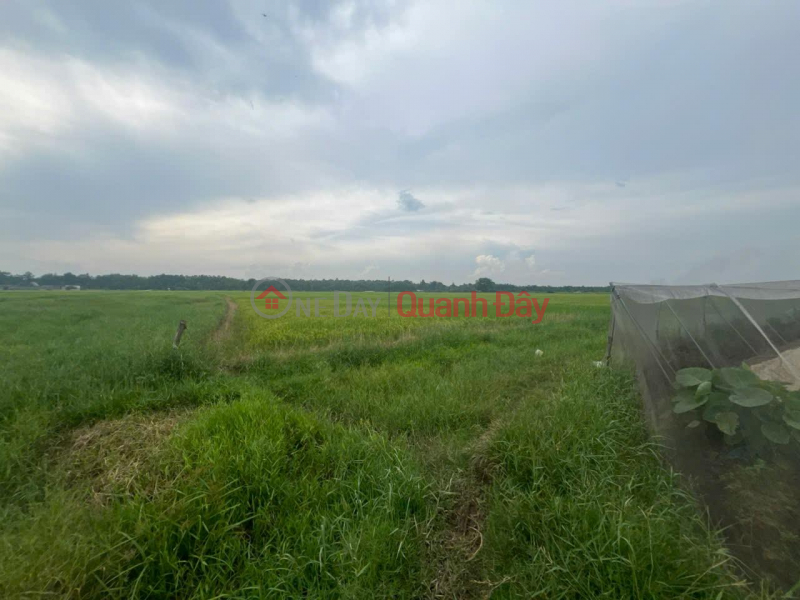 đ 35 Billion, PROFITABLE INVESTMENT - Owner Needs to Sell a Beautiful Land Plot in Xuan Thoi Thuong Commune, Hoc Mon, HCM