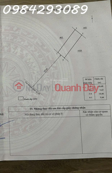 Super product - Selling 2 adjacent plots of land with frontage on National Highway 19B, Cat Nhon, Phu Cat, area 400m2, investment price Sales Listings