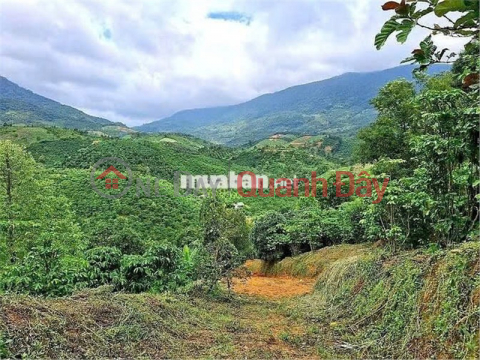 ĐẤT ĐẸP - GIÁ ĐẦU TƯ –CHÍNH CHỦ CẦN BÁN LÔ ĐẤT TẠI Thôn 10, xã Lộc Nam, Bảo Lâm, Lâm Đồng _0