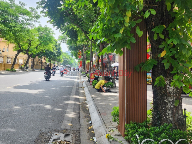 House for sale on Nguyen Thai Hoc, Ba Dinh, 31m2, 4 floors, frontage 5.1m, only 11 billion Sales Listings