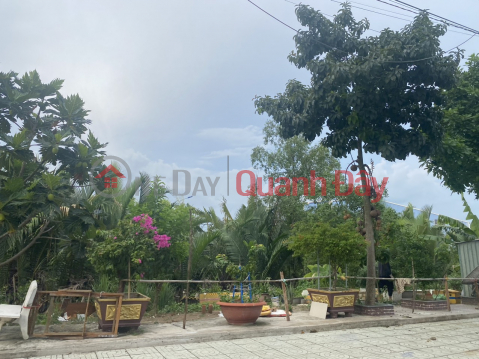 Too cheap! 330m2 full residential land, 2 acres front and back - Free construction - Truck to land - DAO TRI _0