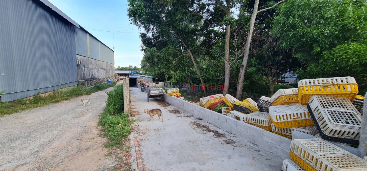 CHÍNH CHỦ CẦN BÁN 12.000M² ĐẤT TẠI ĐẶC KHU PHÚ QUỐC – ĐÓN SÓNG APEC 2027 Niêm yết bán