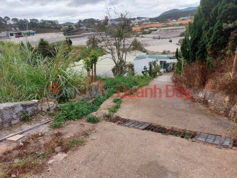 LAND FOR SALE WITH FREE WOODEN HOUSE ON HUYEN TRAN CONG CHUA STREET, WARD 4, DA LAT _0