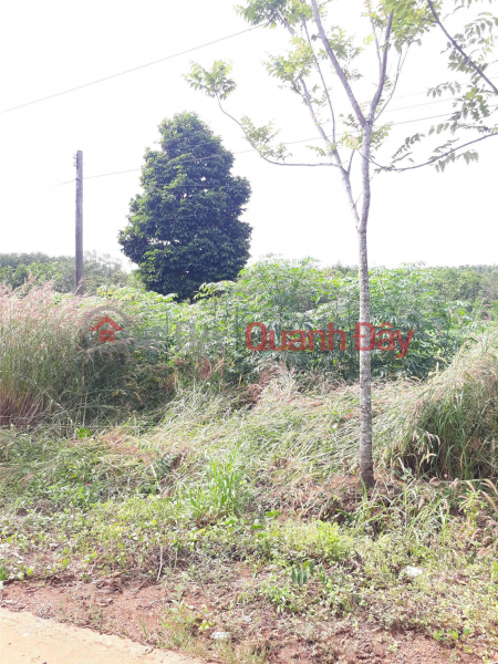 đ 450 Million OWNER'S LAND - Land for Sale in Long Binh, Phu Gieng, Binh Phuoc - VERY GOOD PRICE