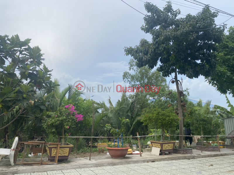 Property Search Vietnam | OneDay | Nhà ở, Niêm yết bán, Quá rẻ! 330m2 đất full thổ cư, 2 MT trước sau - Xây dựng tự do - Xe tải tới đất - Cạnh công viên