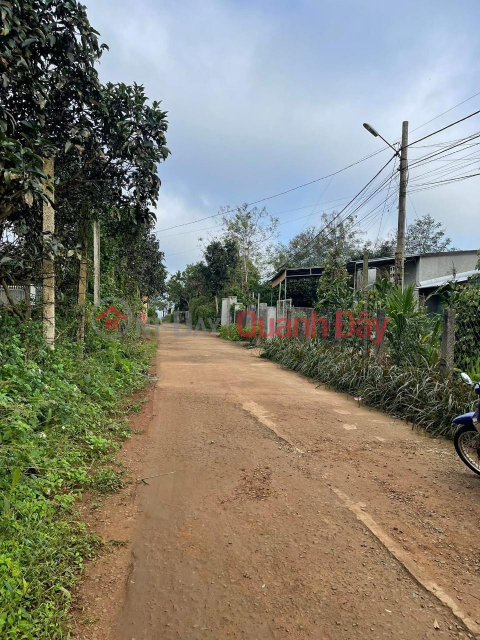 BEAUTIFUL LAND - GOOD PRICE - Quick Sale Land Lot Nice Location In Loc Phat, Bao Loc, Lam Dong _0