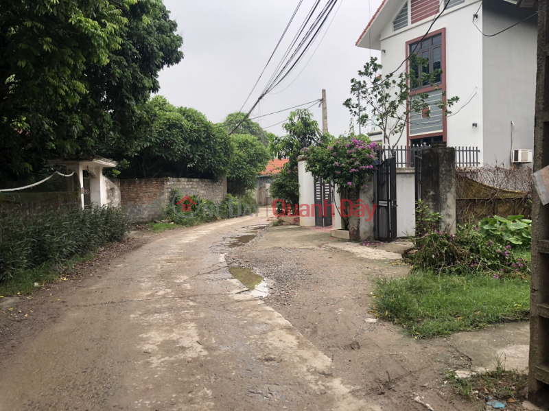 48m of inter-commune road from Phung Chau commune to Dai Thanh Quoc Oai, Hanoi, two beautiful frontages, comfortable for business Sales Listings