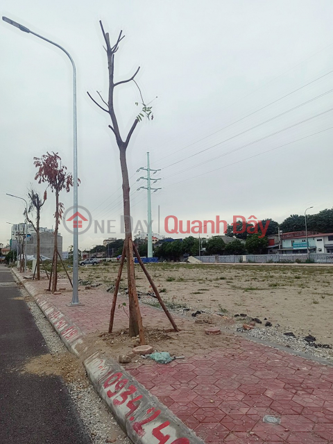 Land for resettlement in Cay Banyan 13 roots - Hai Phong, 66m2, Northeast direction, PRICE 5 billion _0